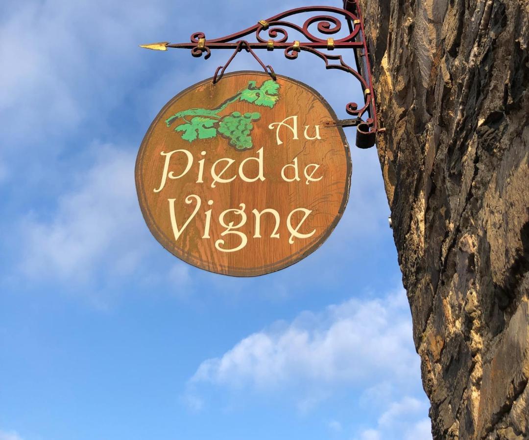 Appart Hotel Au Pied De Vigne Vresse-sur-Semois Exterior foto